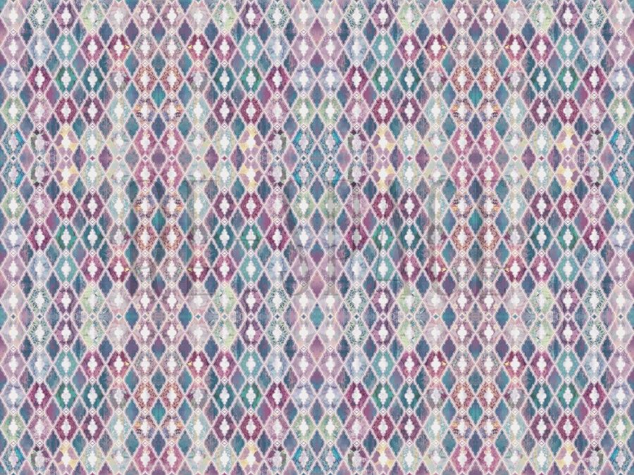 DG116-COL1 2