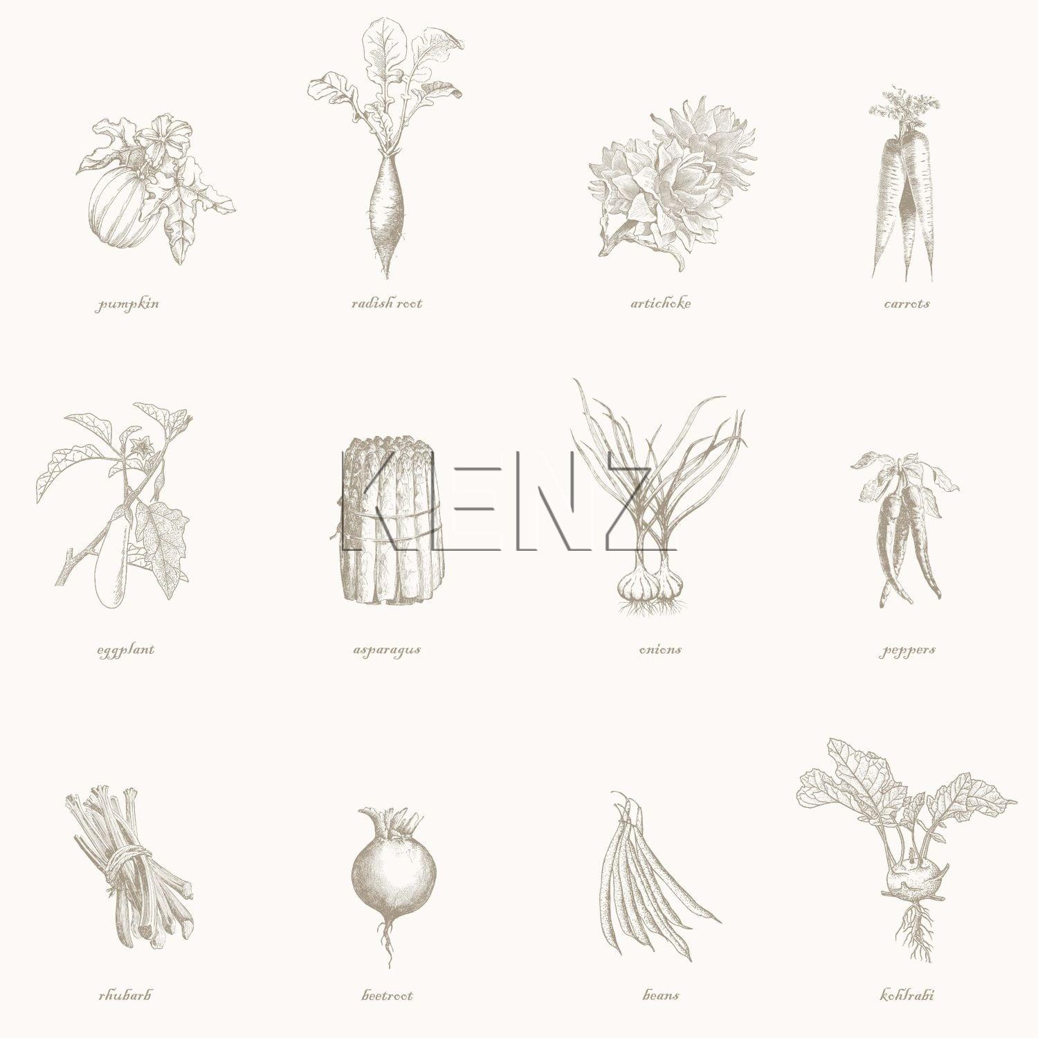 wallpaper vegetables beige 127613
