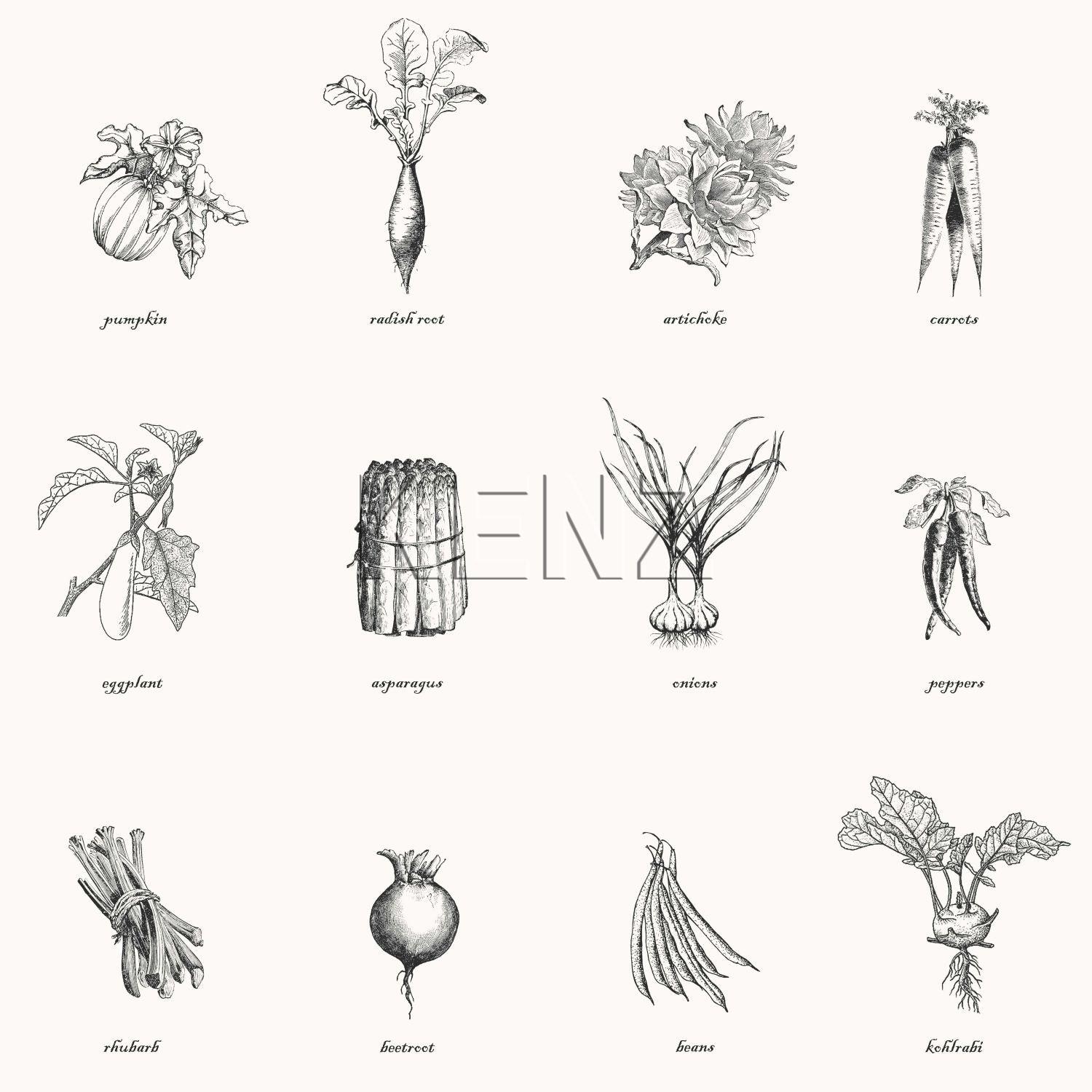 wallpaper vegetables black and white 127614