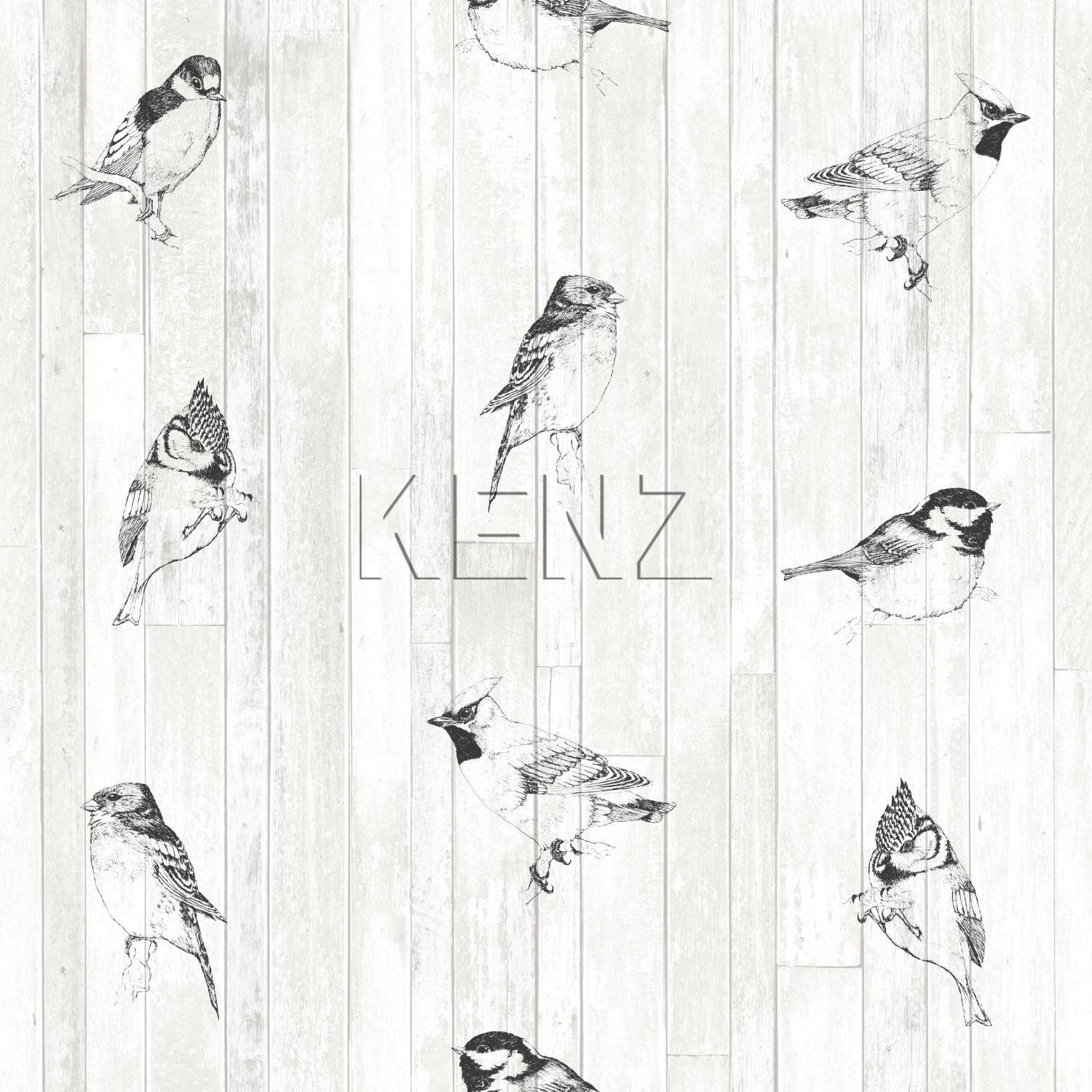 wallpaper pen-drawn birds on scrap wood planks black and matt white 128834