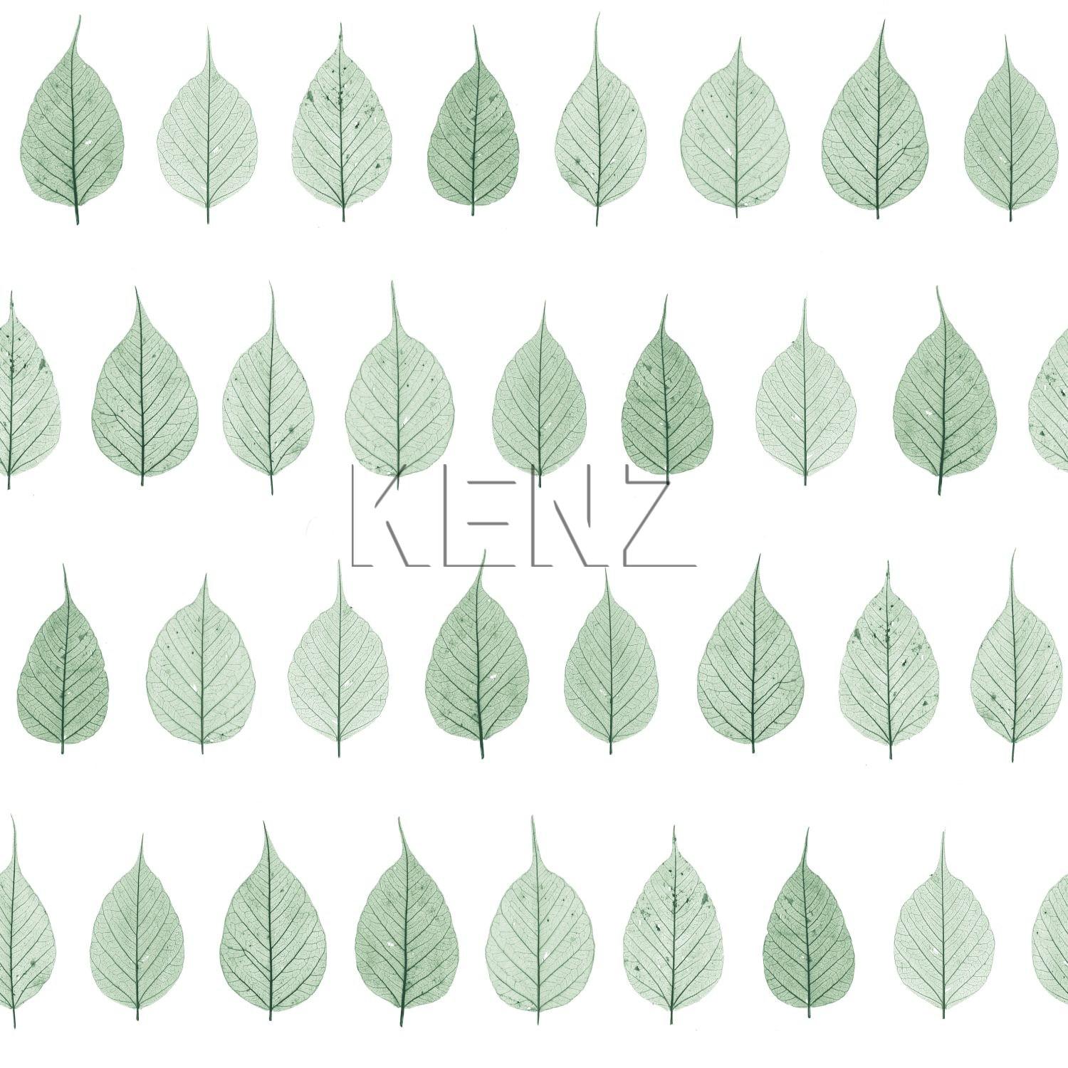 wallpaper skeleton leaves tropical jungle green and matt white 128847