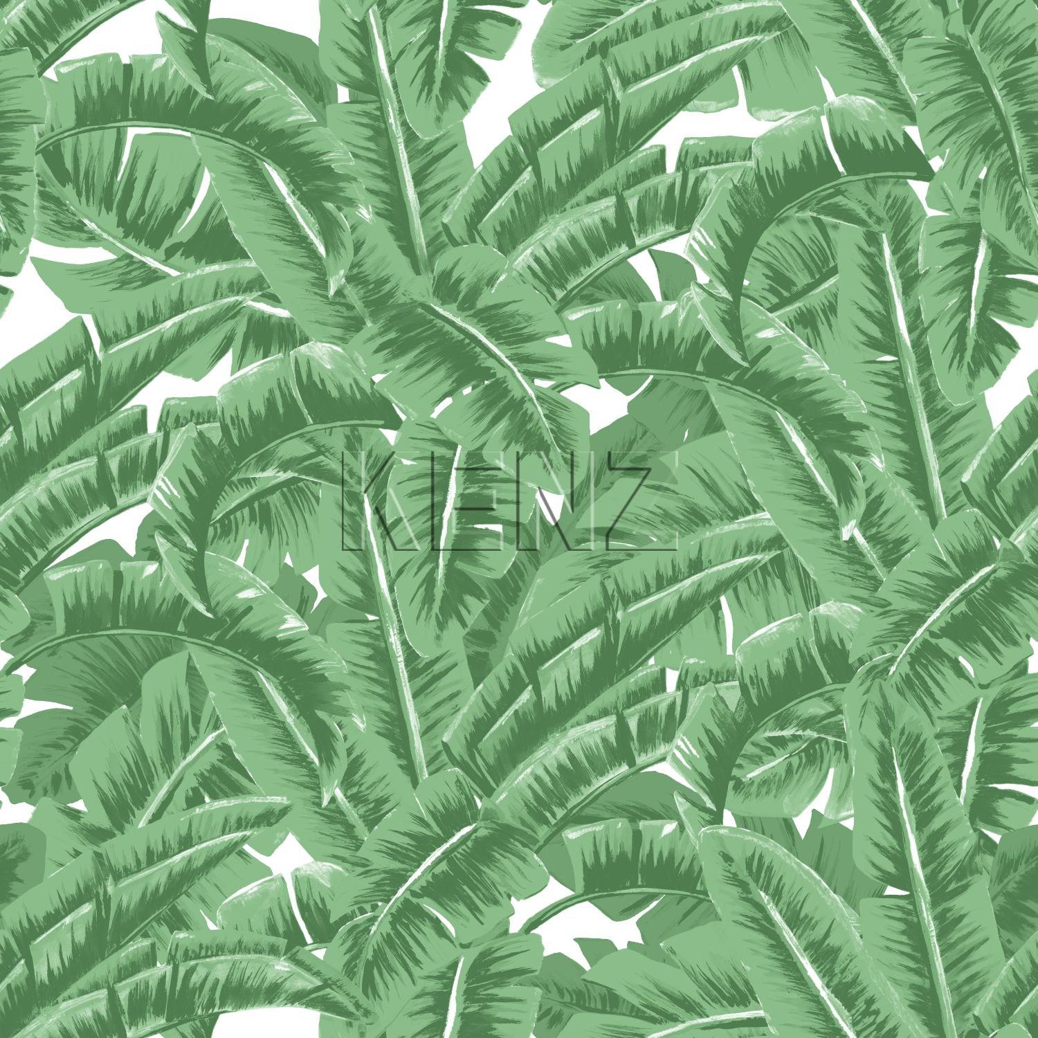 wallpaper banana leaves green 138984