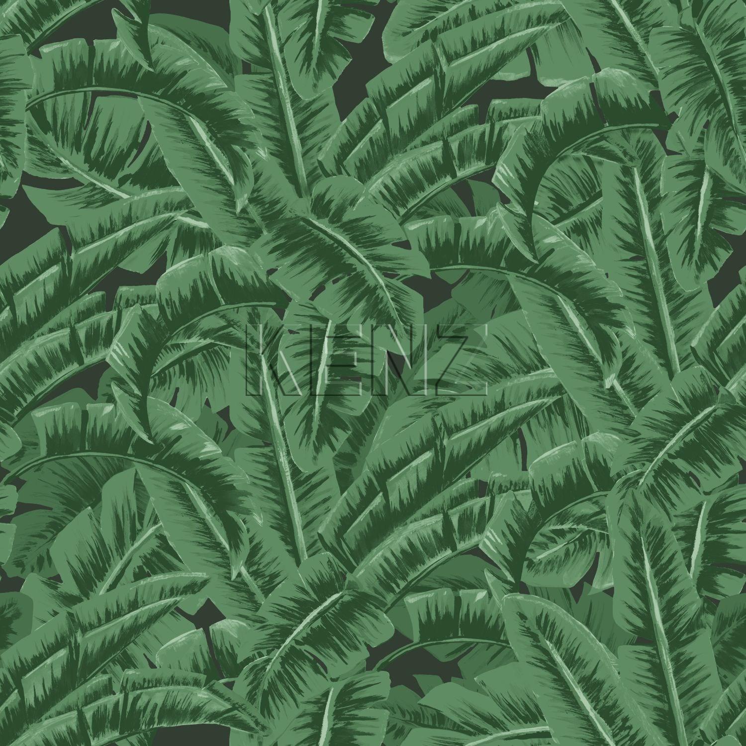 wallpaper banana leaves dark green and black 138985