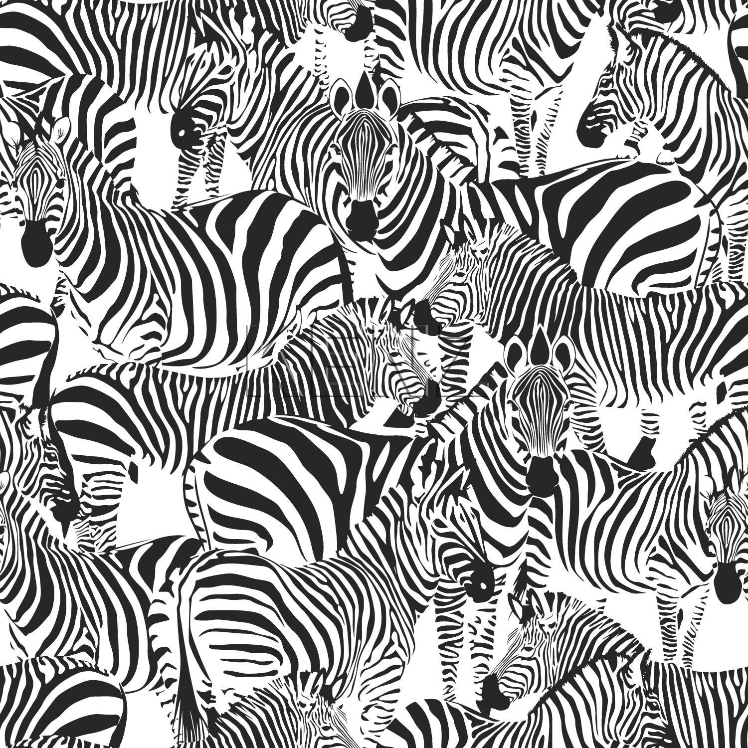 wallpaper zebras black and white 139155