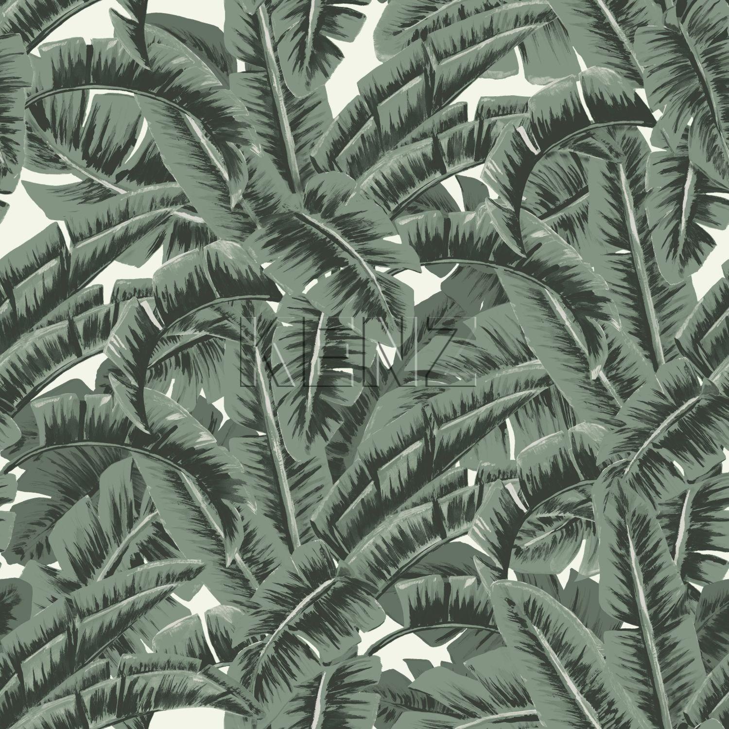 wallpaper tropical jungle leaves greyish green 139156