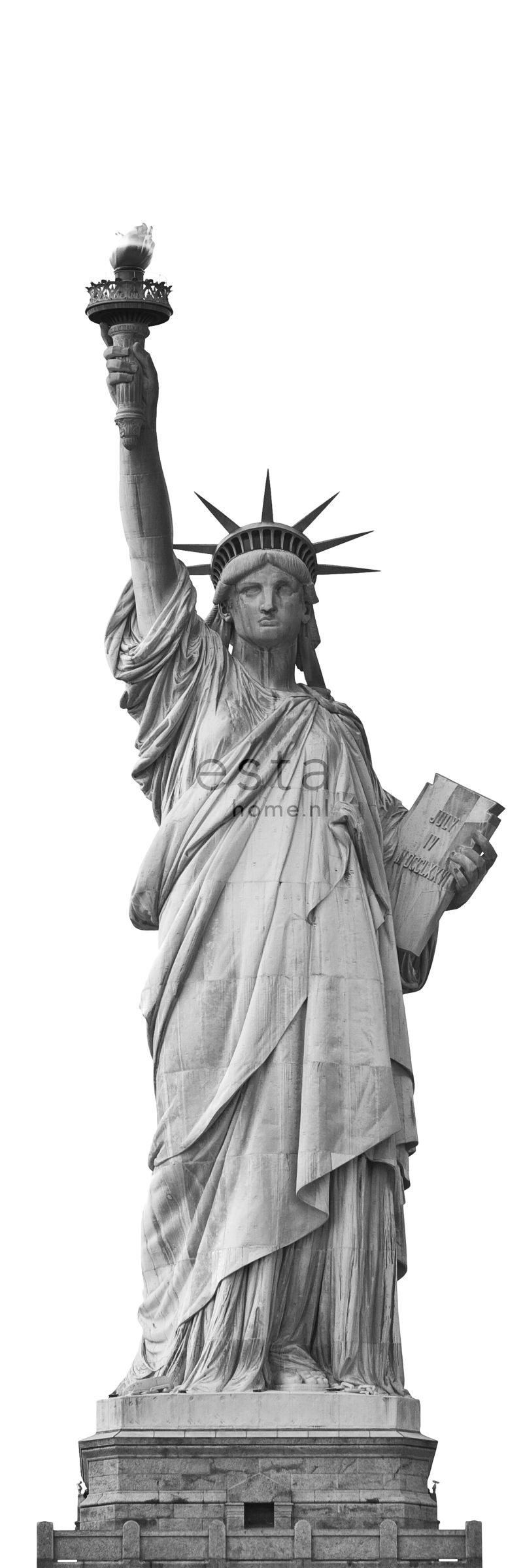 wall mural statue of liberty gray 157701