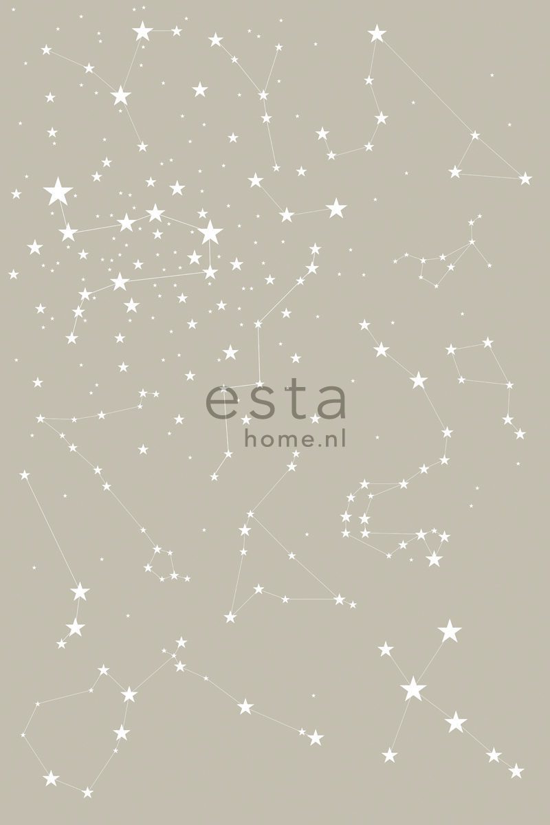 wall mural starry night taupe 158705