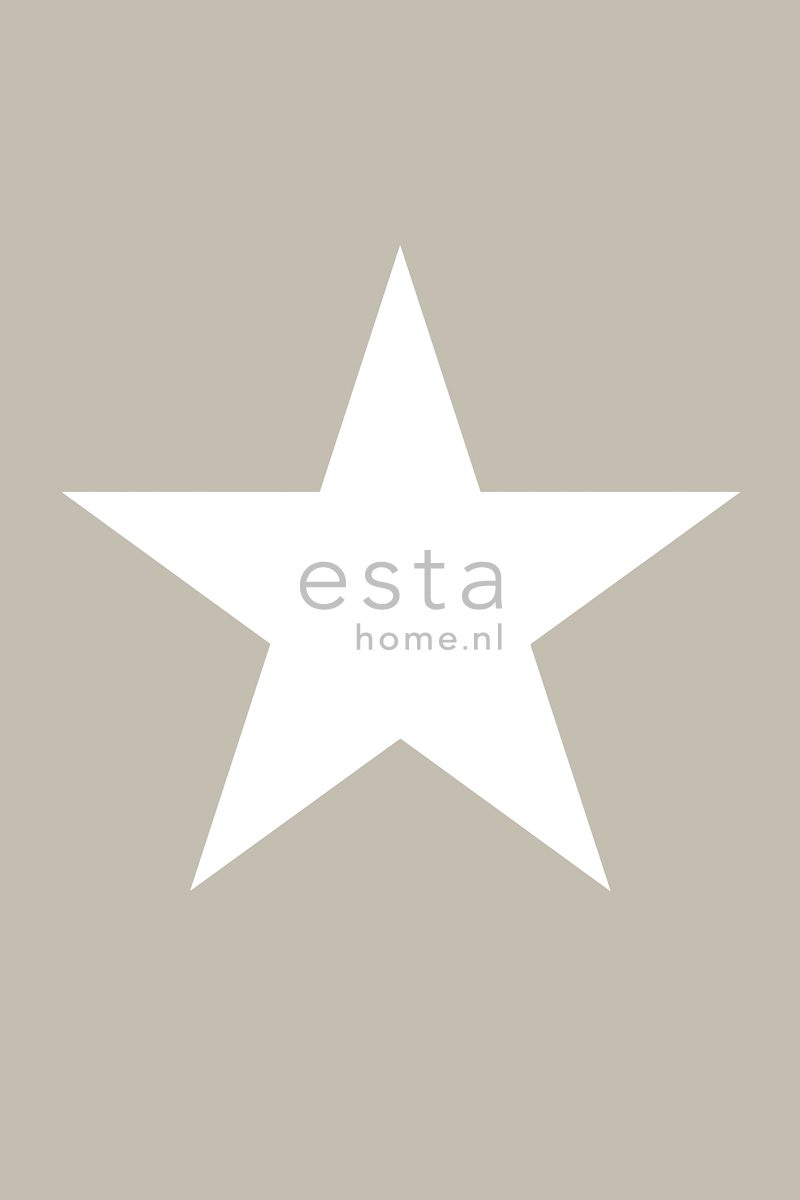 wall mural star taupe 158706