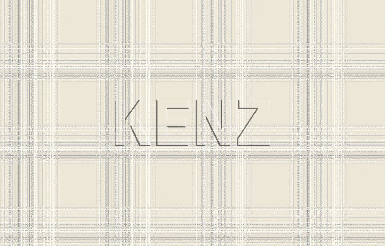 001, Casual 27