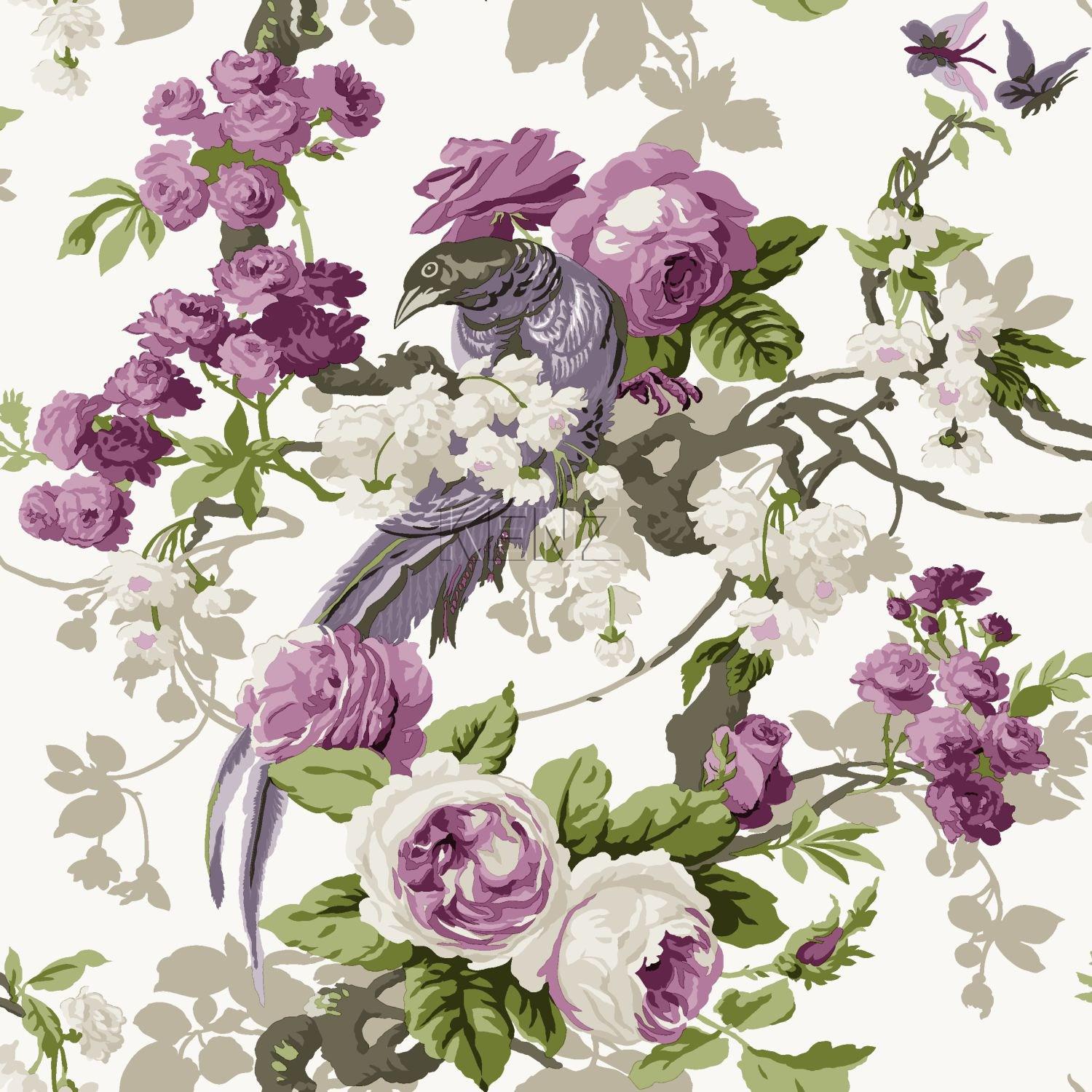 wallpaper birds of paradise purple 326152
