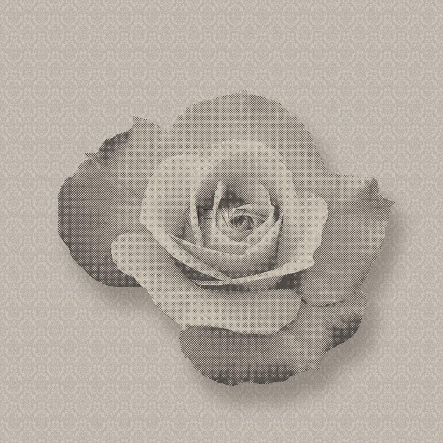 wallpaper rose gray and black 326332