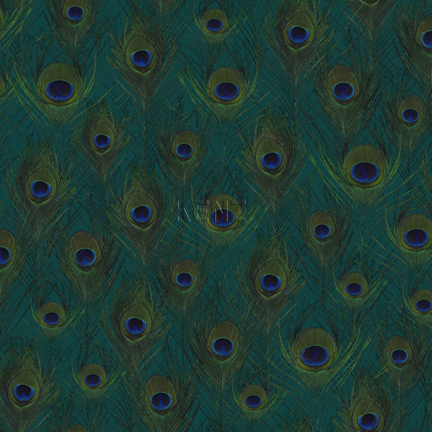 wallpaper peacock feathers sea green 347764