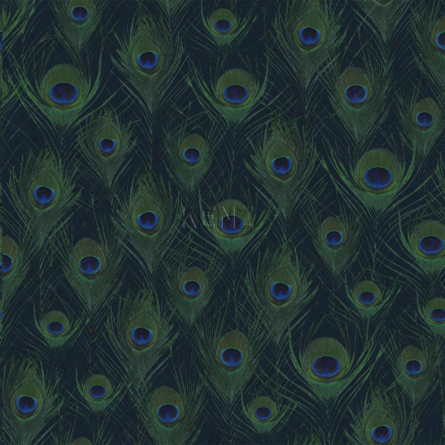 wallpaper peacock feathers dark blue 347766