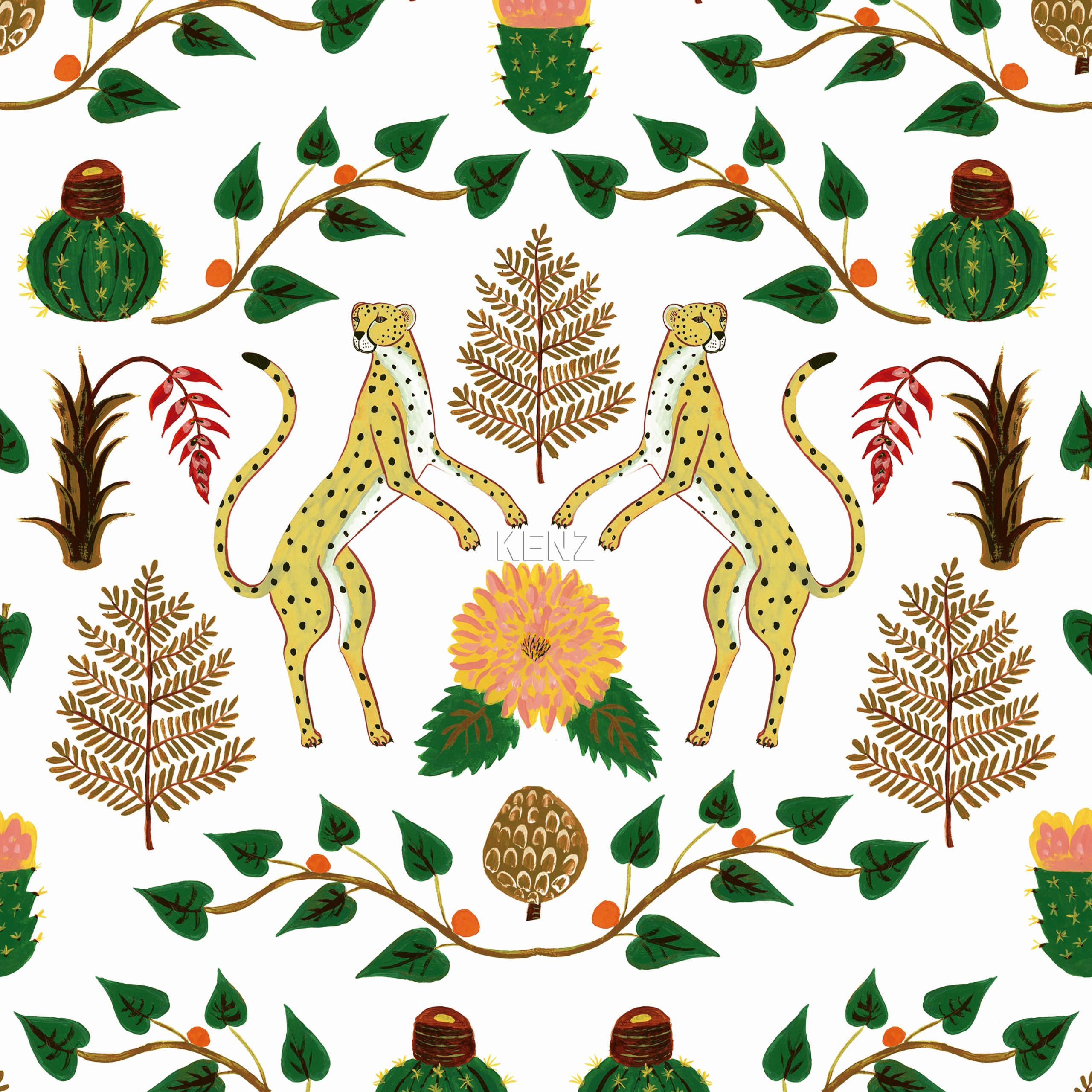 Cheetahs -  5900044