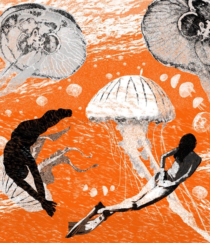 Swimmers And Jellyfish