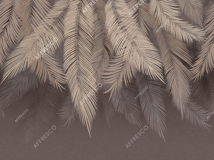 AB477-COL2