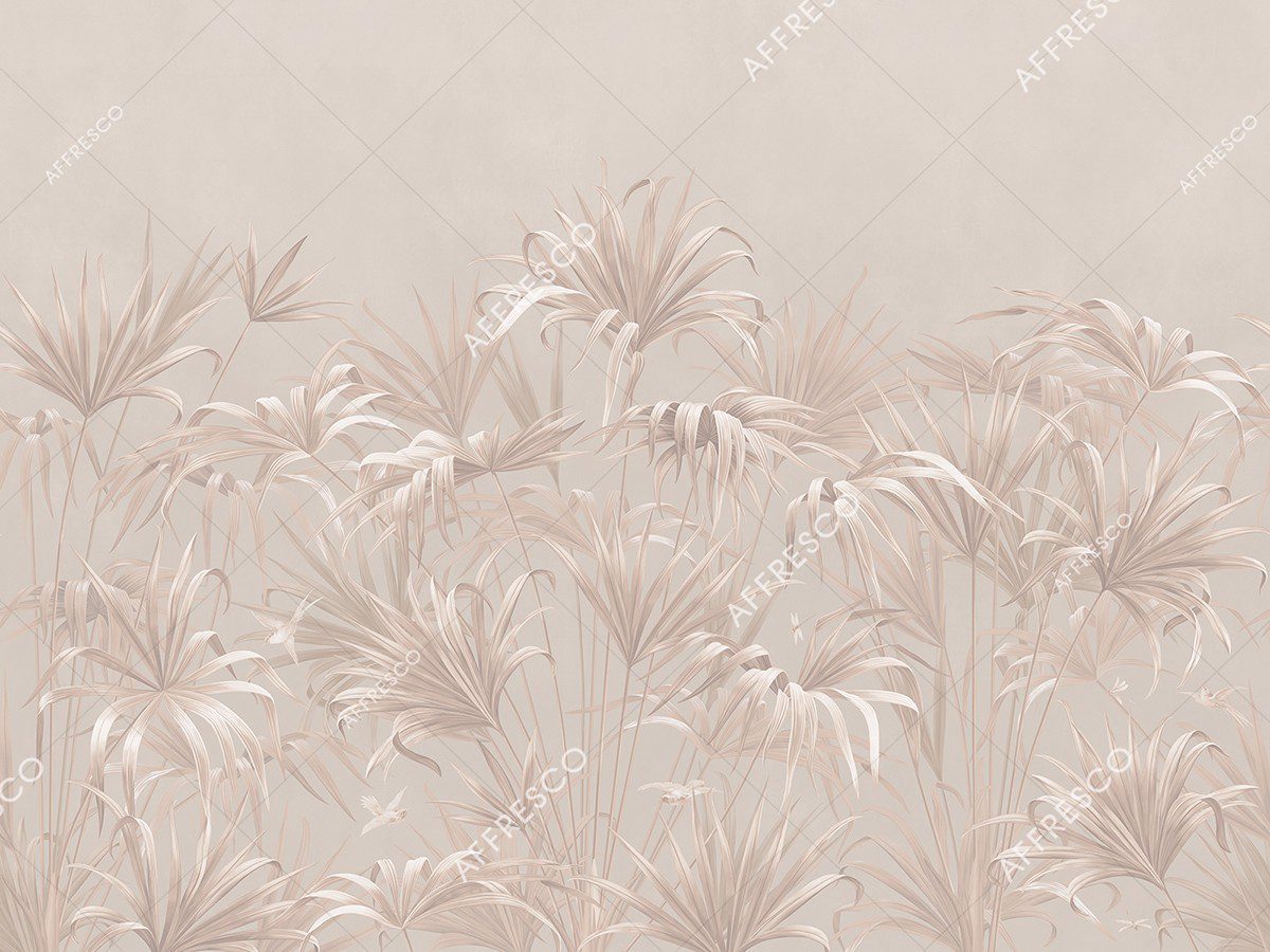 AF2081-COL10 2
