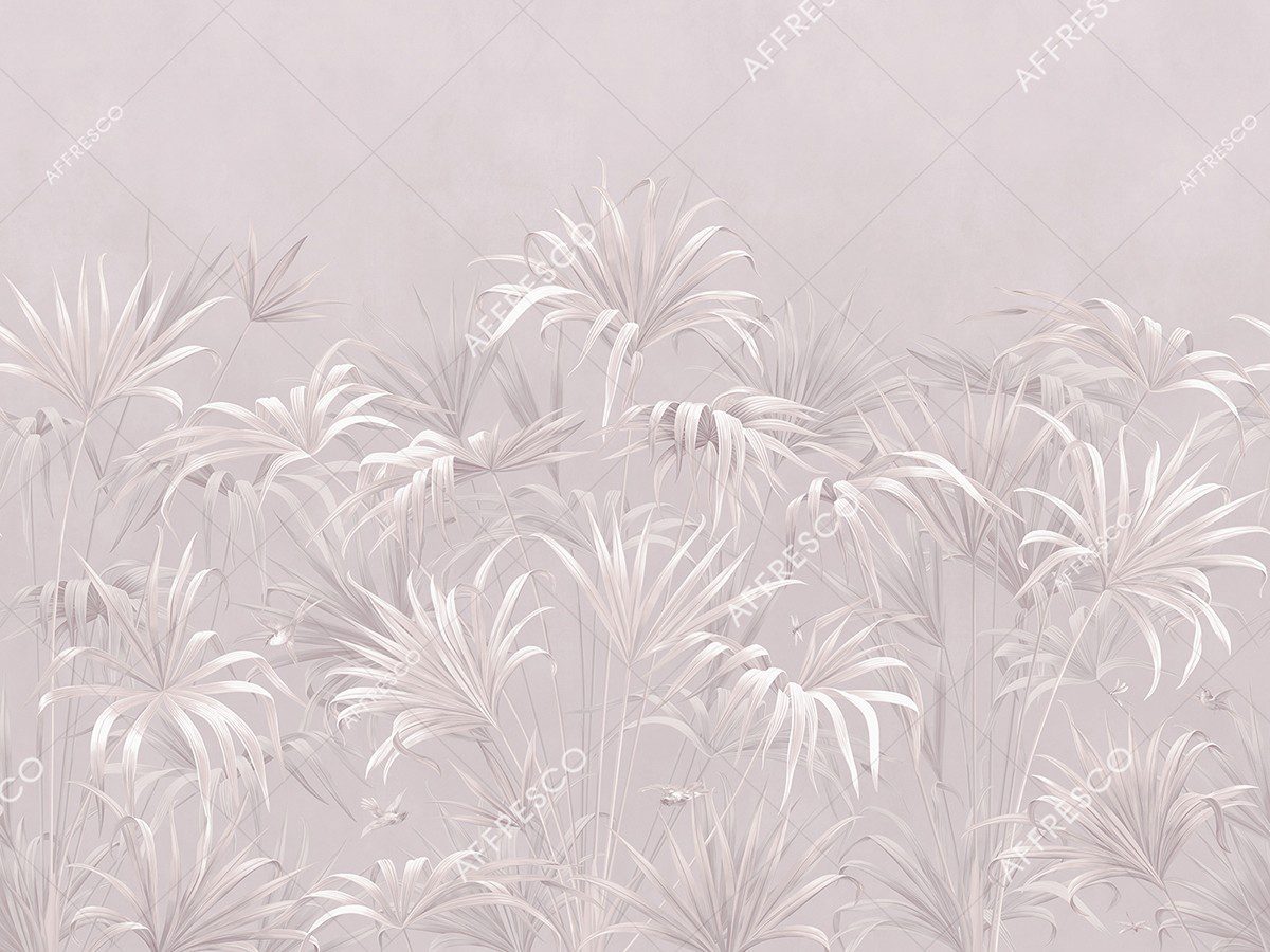 AF2081-COL3 2