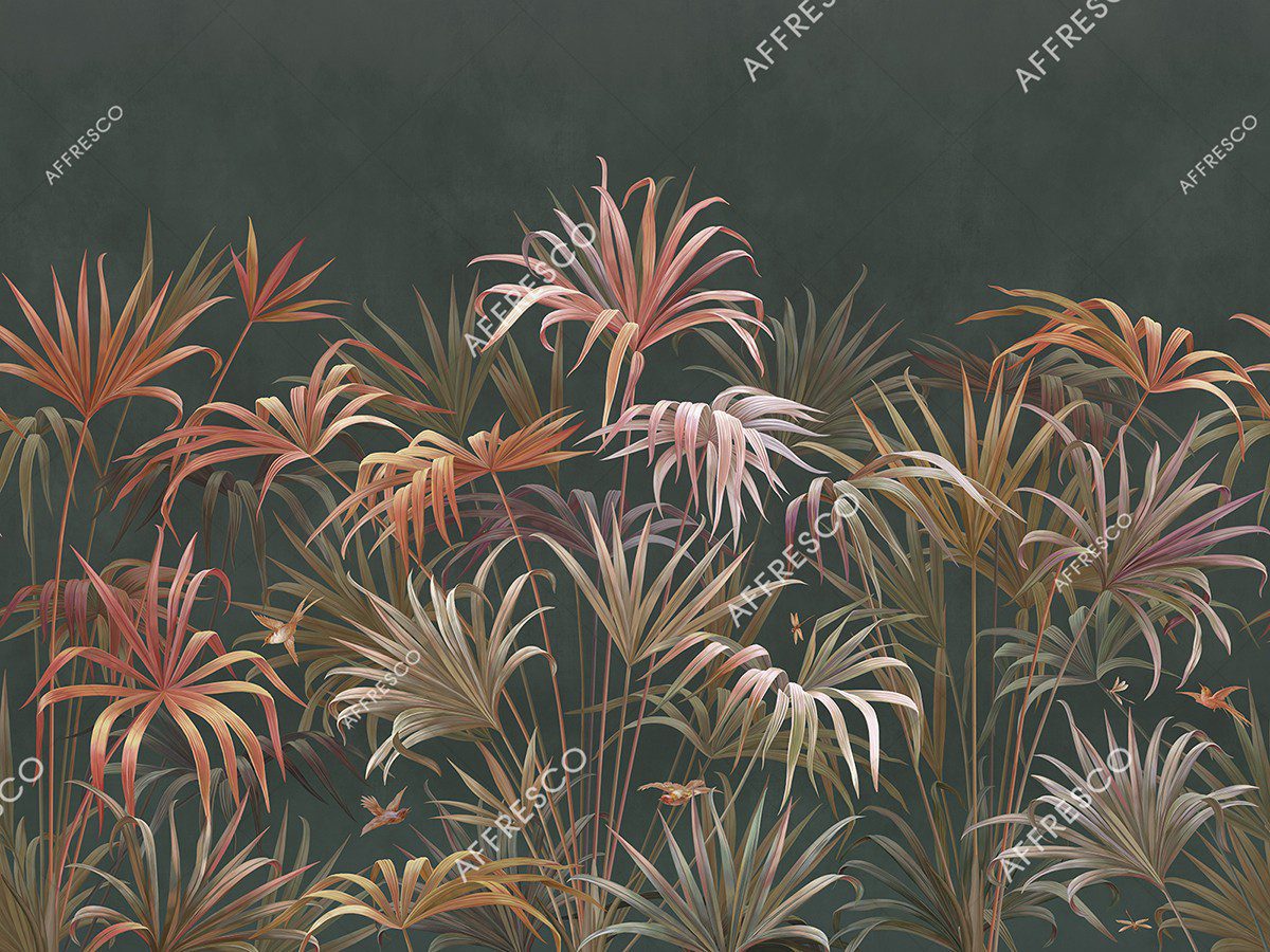 AF2081-COL4 2