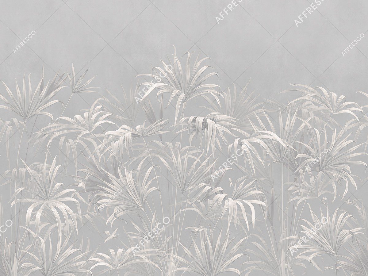 AF2081-COL5 2