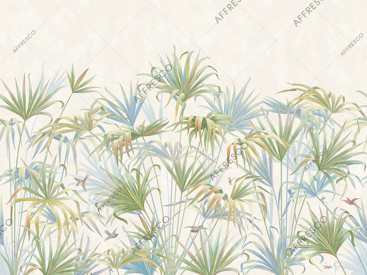 AF2081-COL7 2