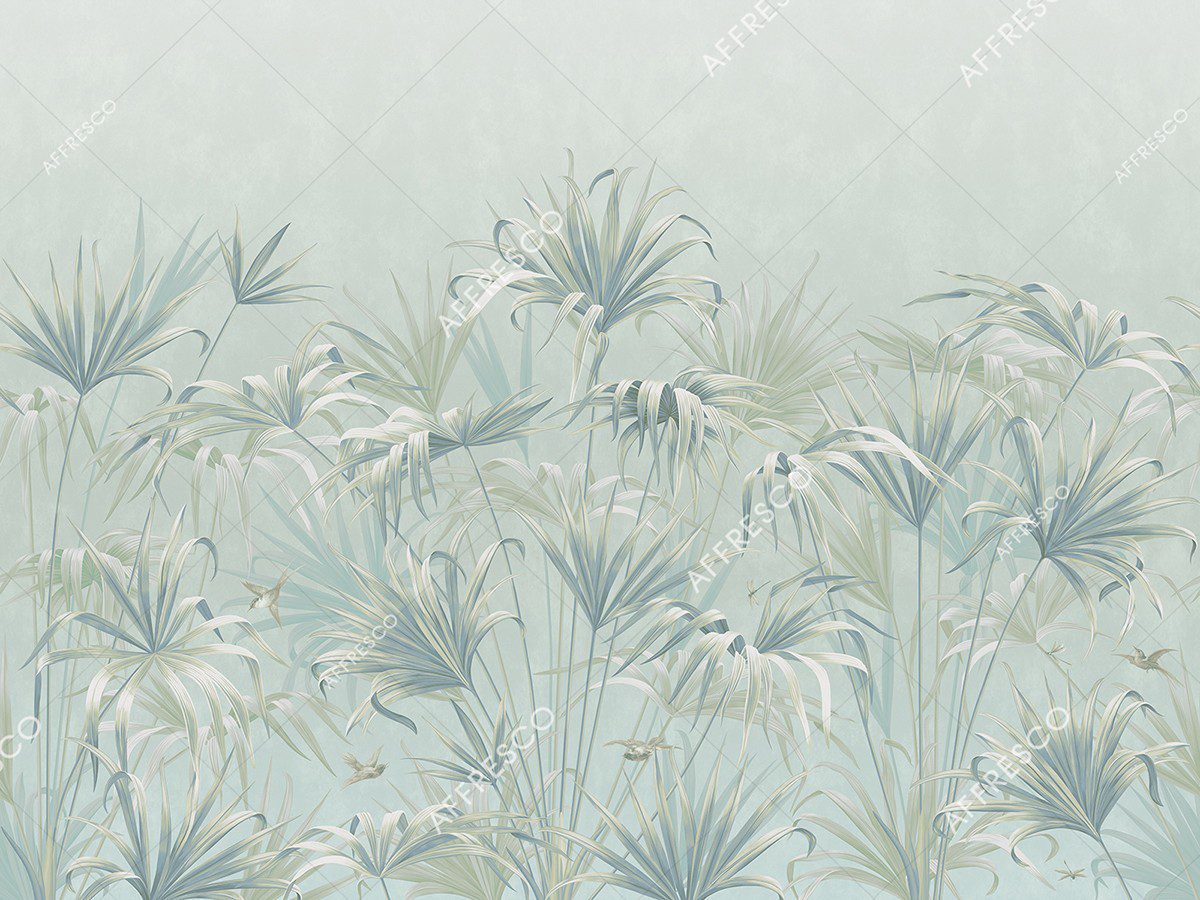 AF2081-COL8 2