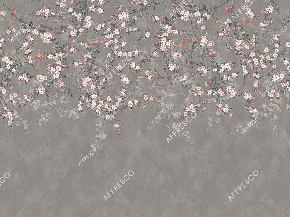 AF2087-COL1 2