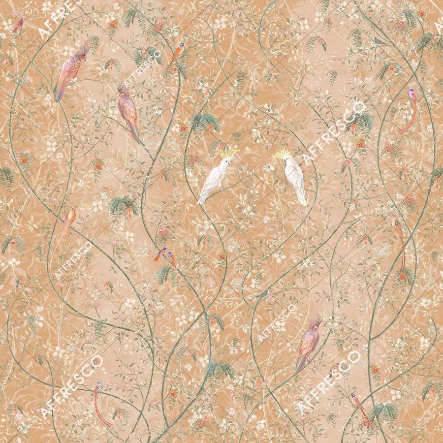 AF505-COL2 2