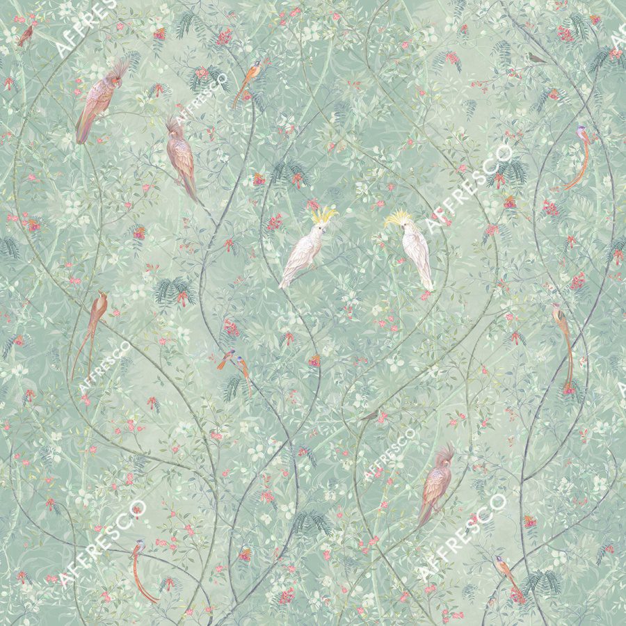 AF505-COL4 2