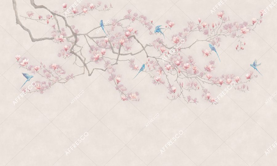 AF506-COL5 2
