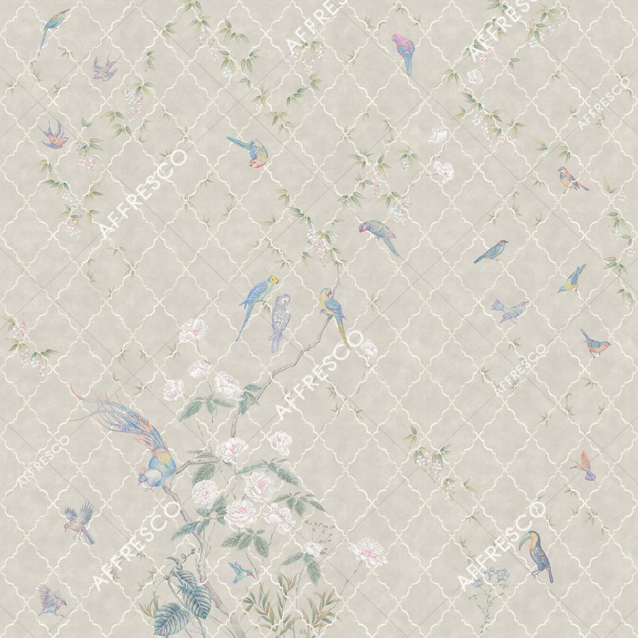AF522-COL1 2
