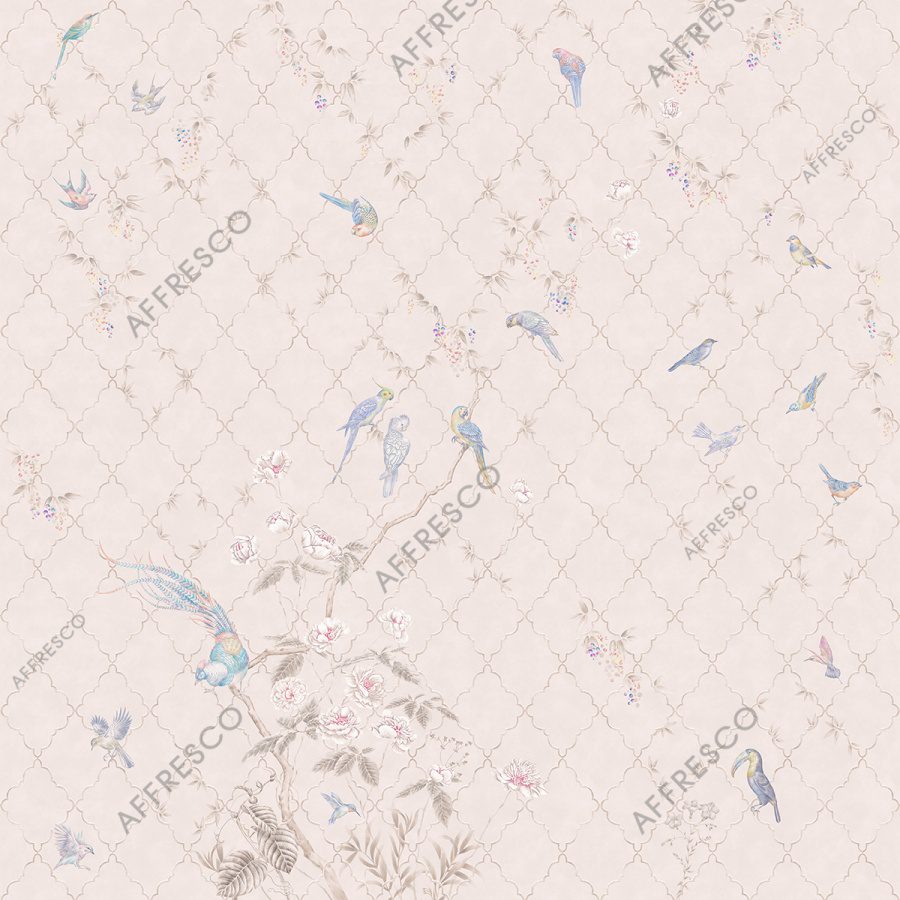 AF522-COL4 2