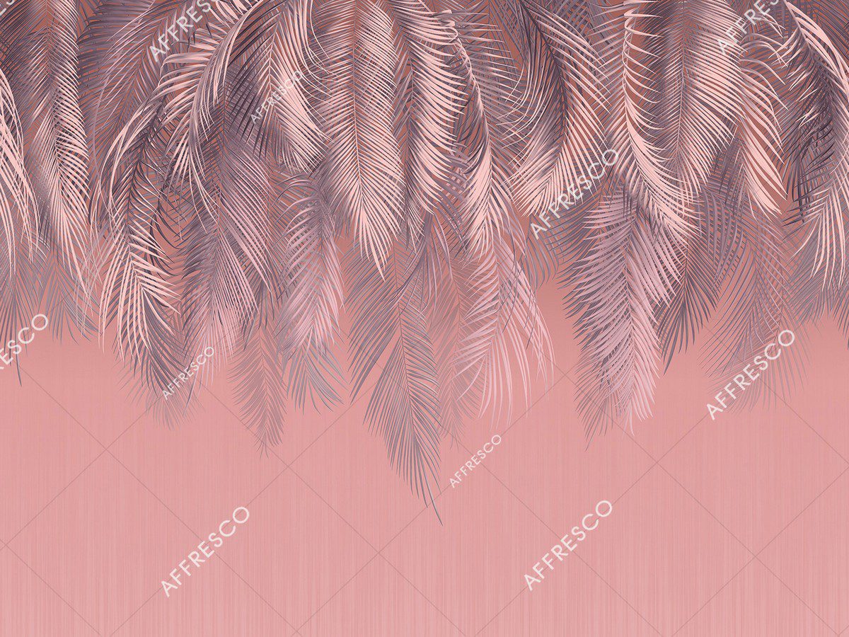 AF952-COL2 2