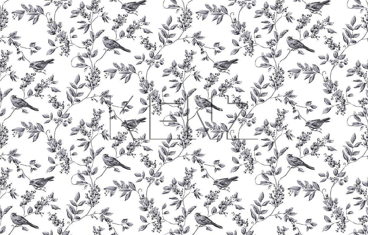 001, Neo8
