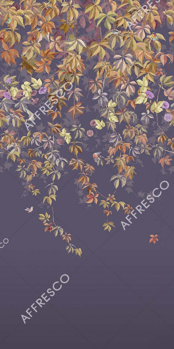 OFA1036-COL6