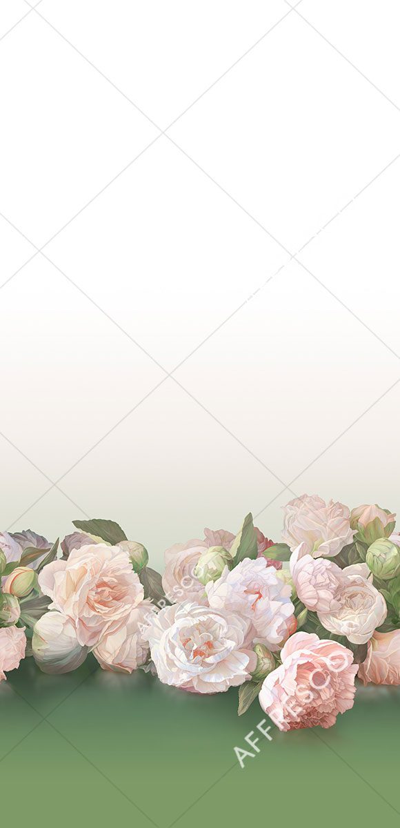 OFA1048-COL6