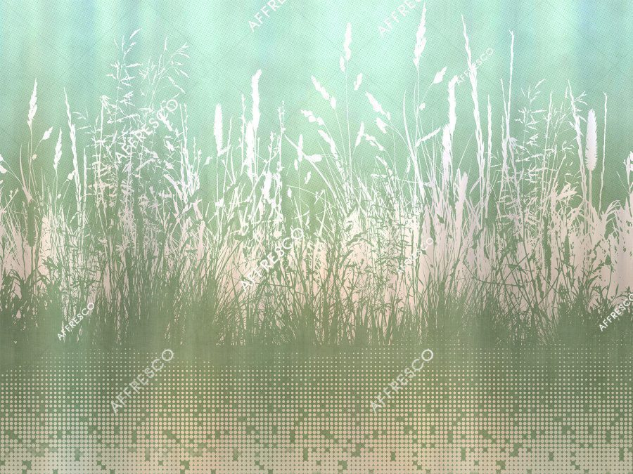 ZK441-COL2 2