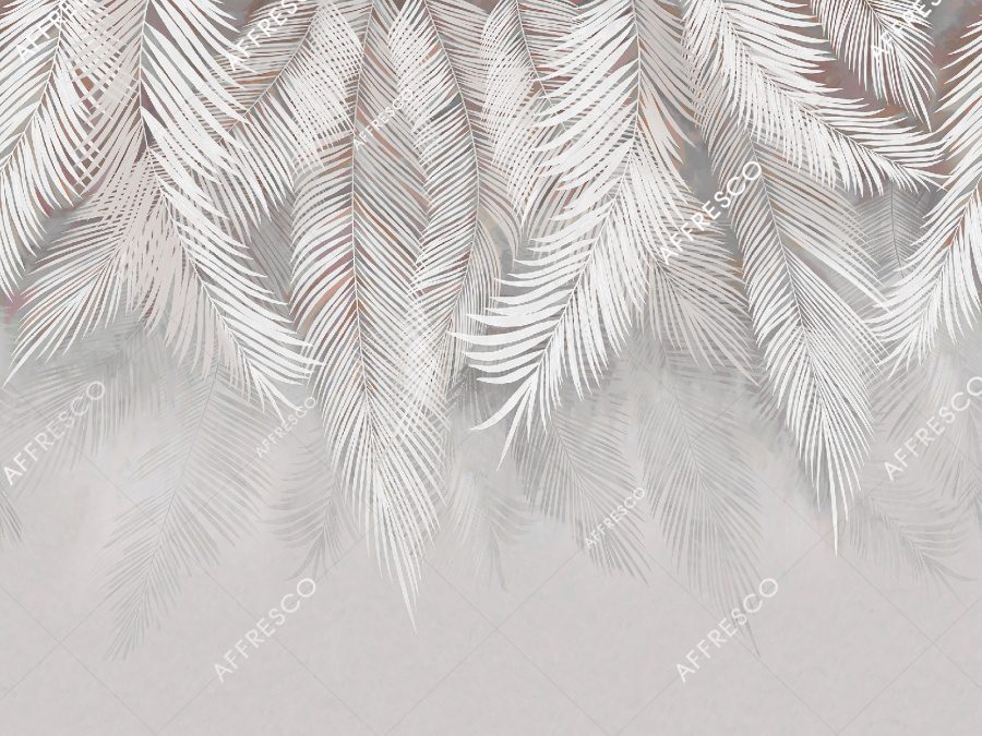 AB477-COL1