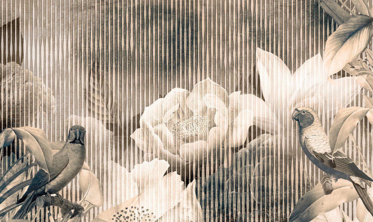 Asrin Walls 5283
