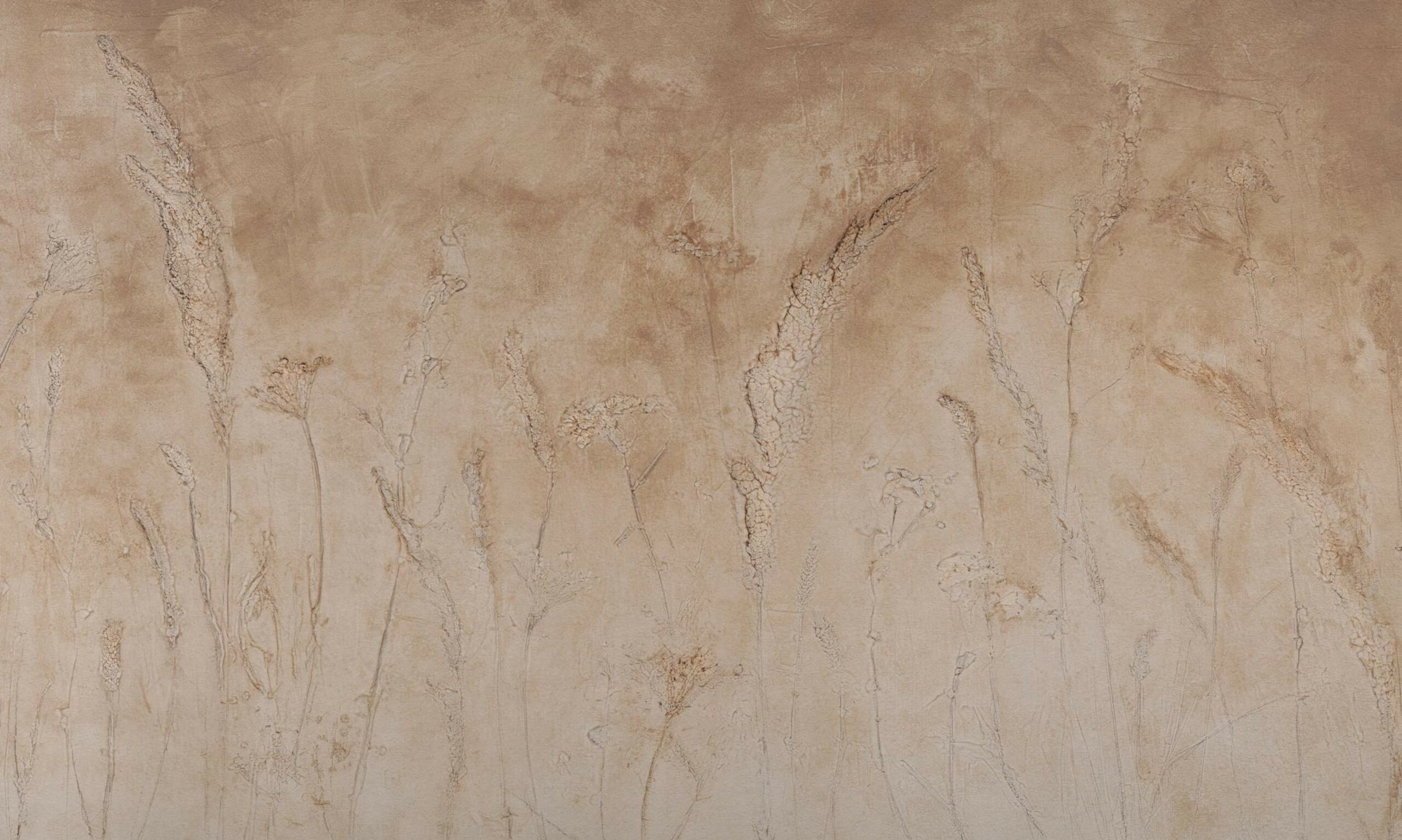 Campo di Grano