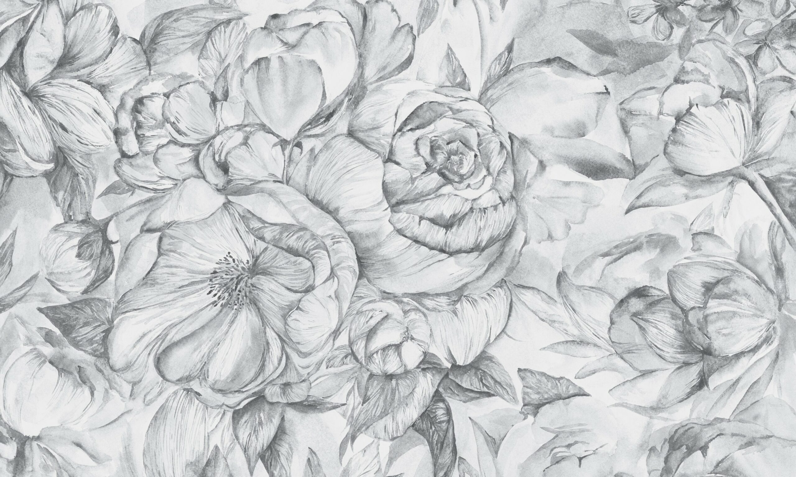 Brassica Light