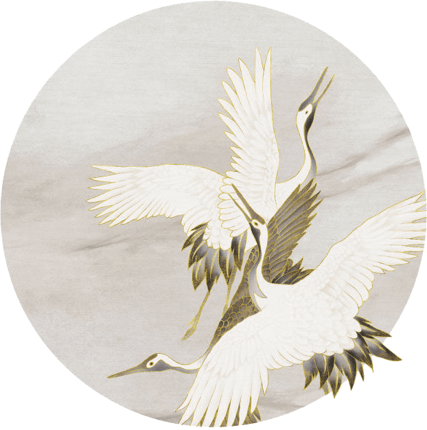 Ivory Tsuru kolo wymiarowanie