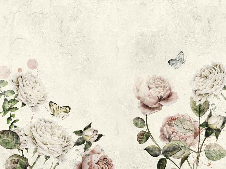 Rose Dream white