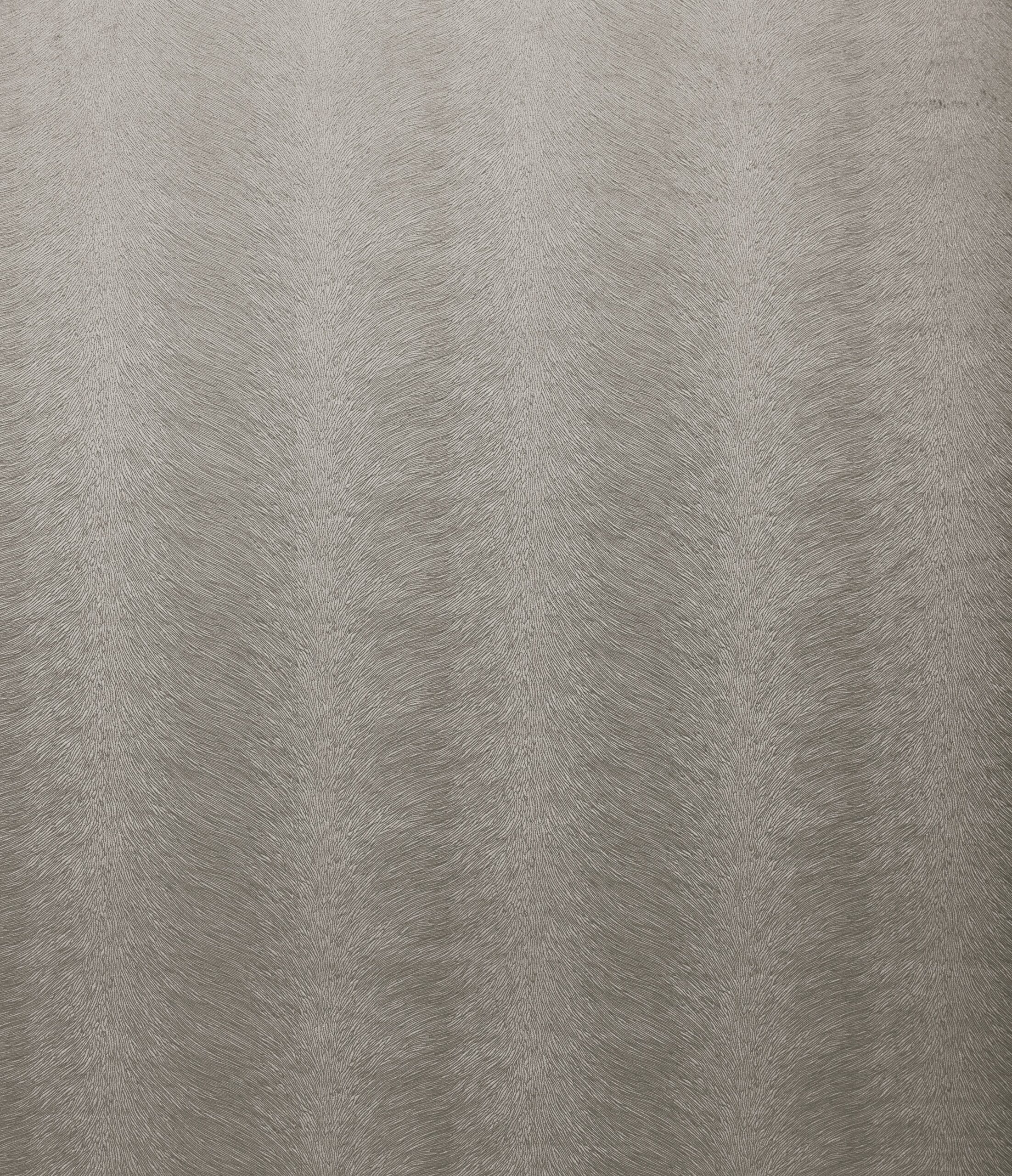 Allegra 7