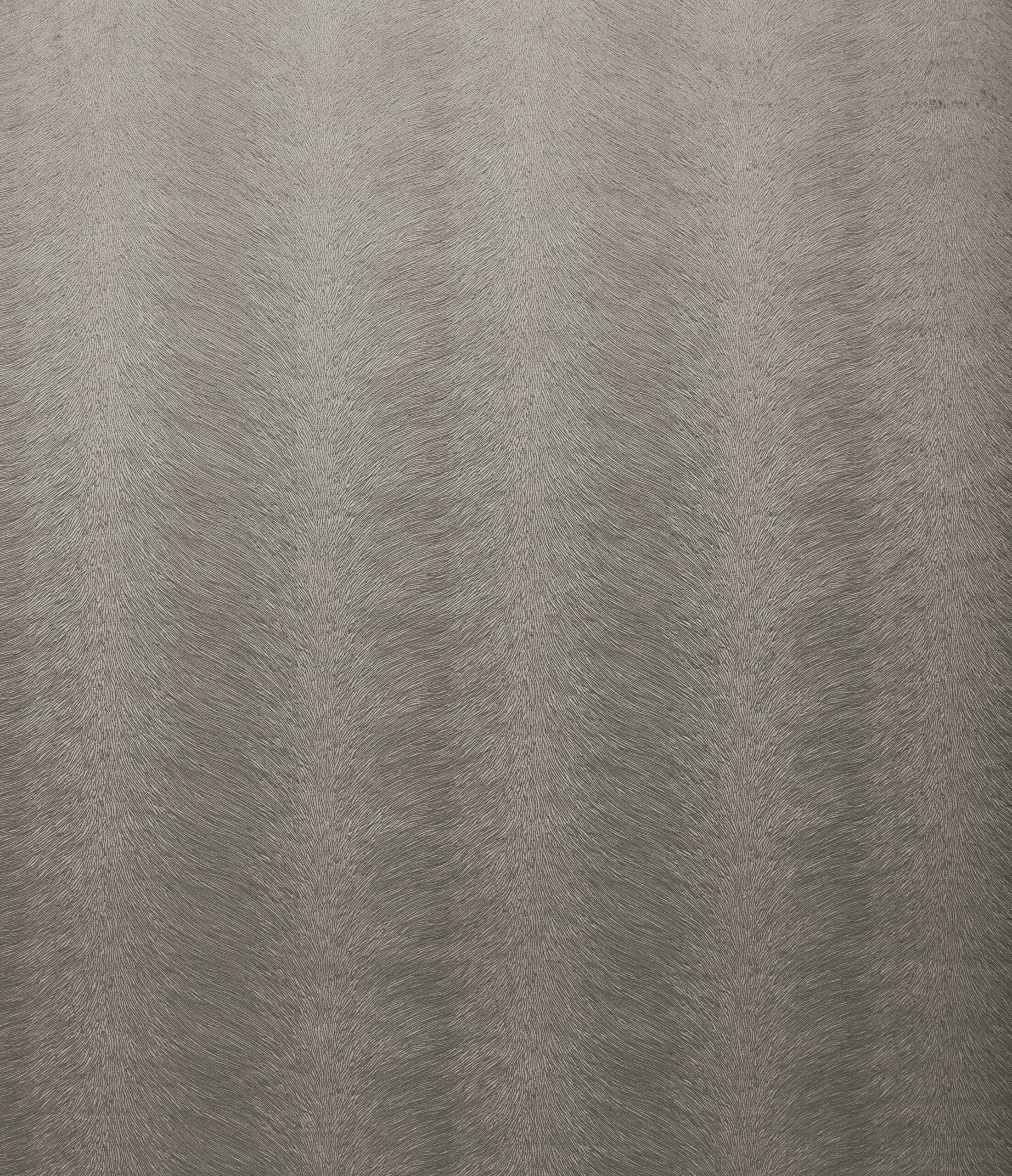 Allegra 7