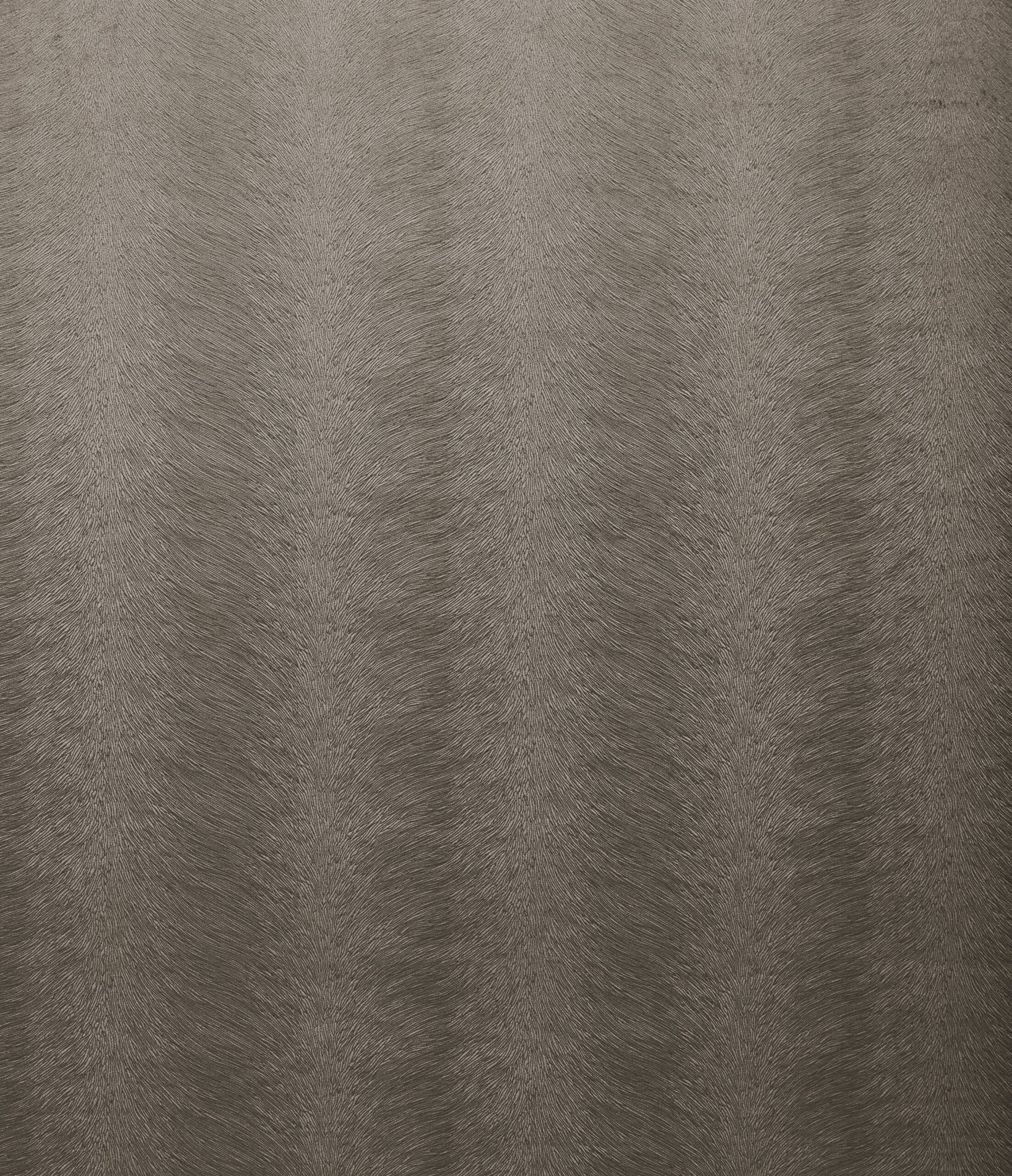 Allegra 5