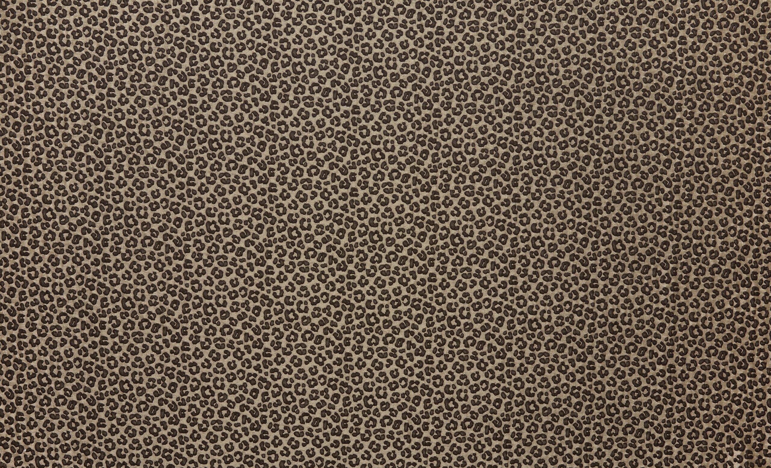 Amur 5