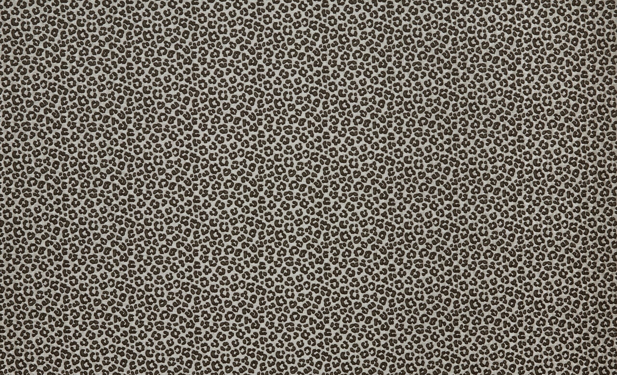 Amur 3