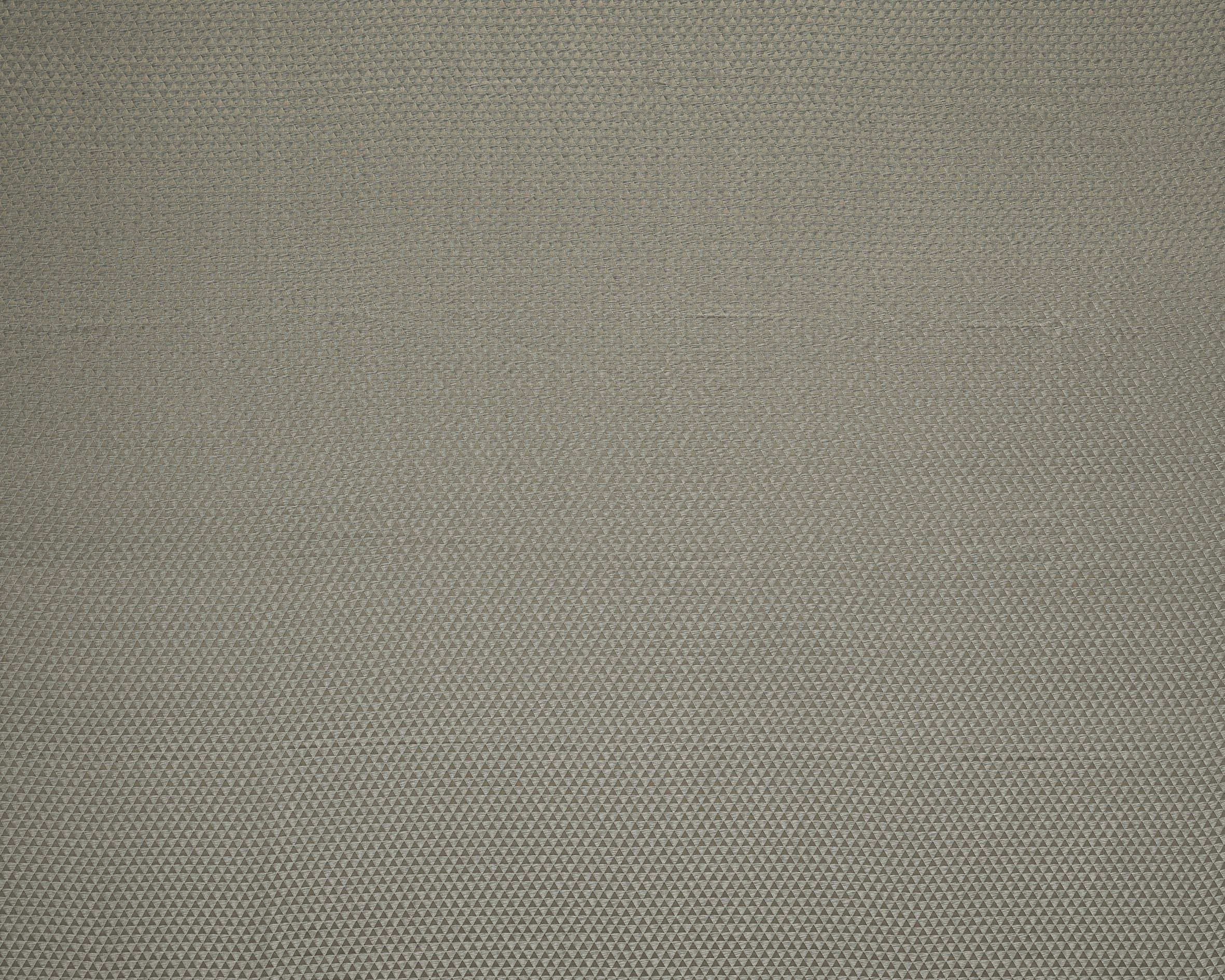 Bract 6