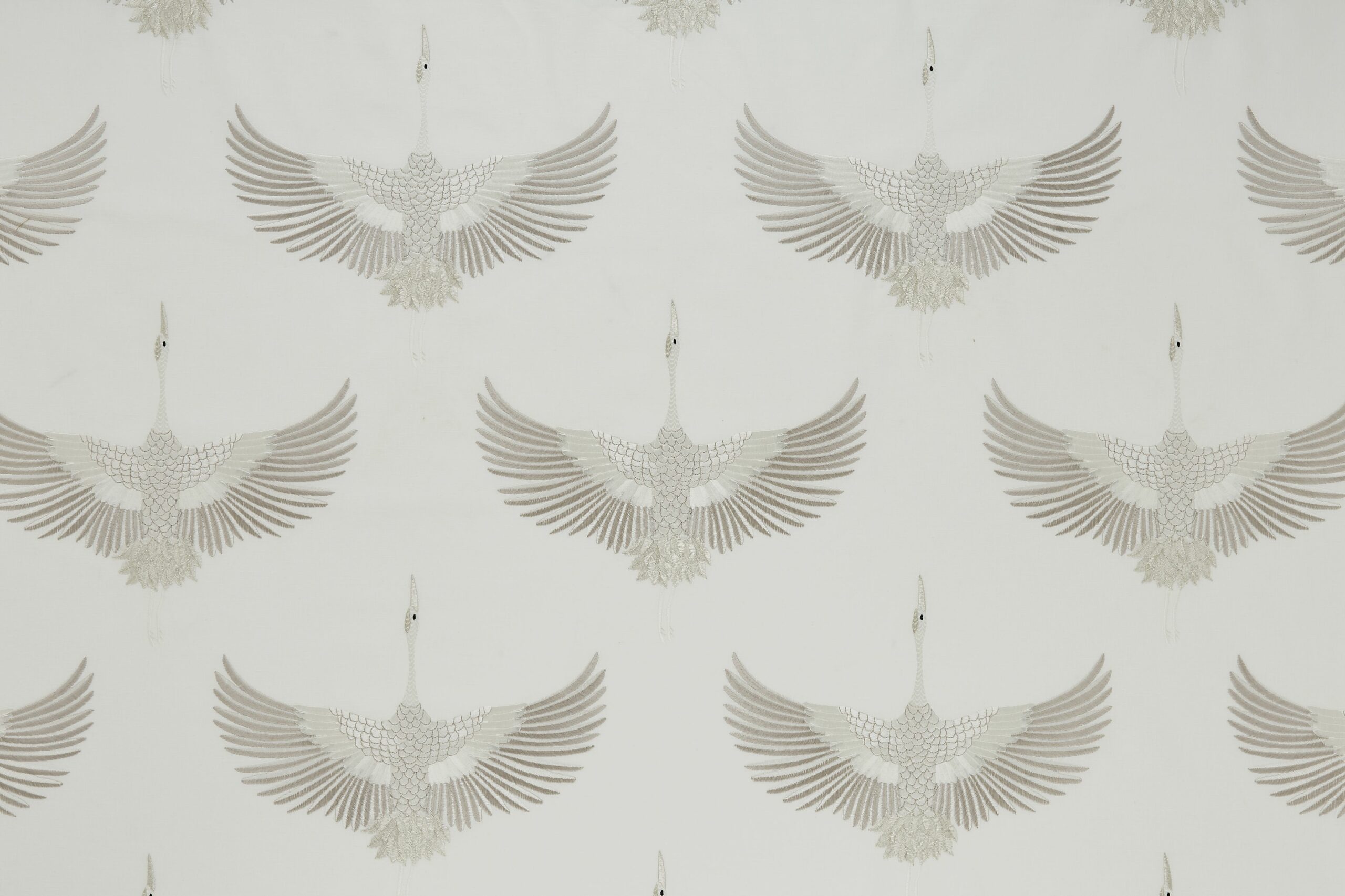Demoiselle 7